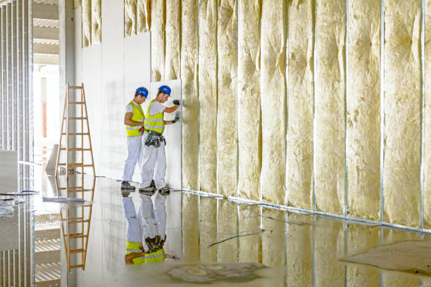 Best Insulation Maintenance and Repair in New Lebanon, OH